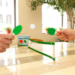 Desktop Table Tennis