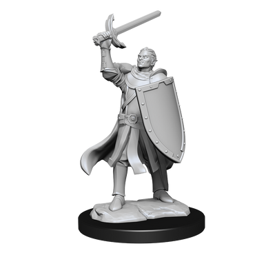 DND UNPAINTED MINIS WV14 HALF-ELF PALADIN MALE