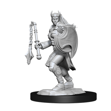 DND UNPAINTED MINIS WV14 KALASHTAR CLERIC FEMALE