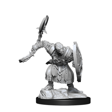 DND UNPAINTED MINIS WV14 WARFORGED MONK