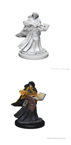 DND UNPAINTED MINIS WV1 FEMALE HUMAN WIZARD