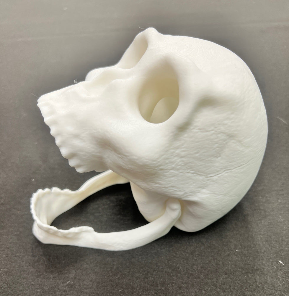 Skull Dice Tower