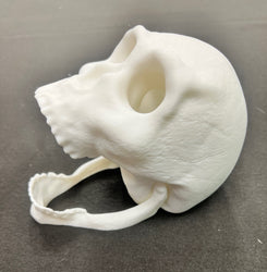 Skull Dice Tower